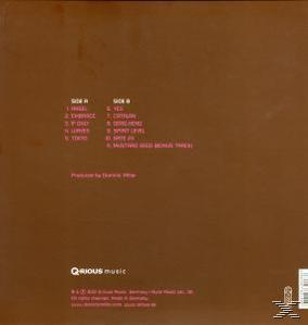 Dominic Miller - Fifth House  - (Vinyl)
