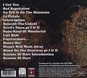 Asylum On The Hill - Passage To The Puzzle Factory  - (CD)