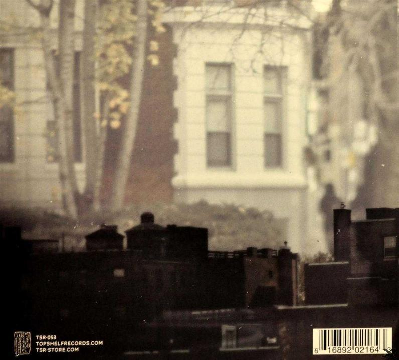 The Saddest Landscape - After Lights - (CD) The