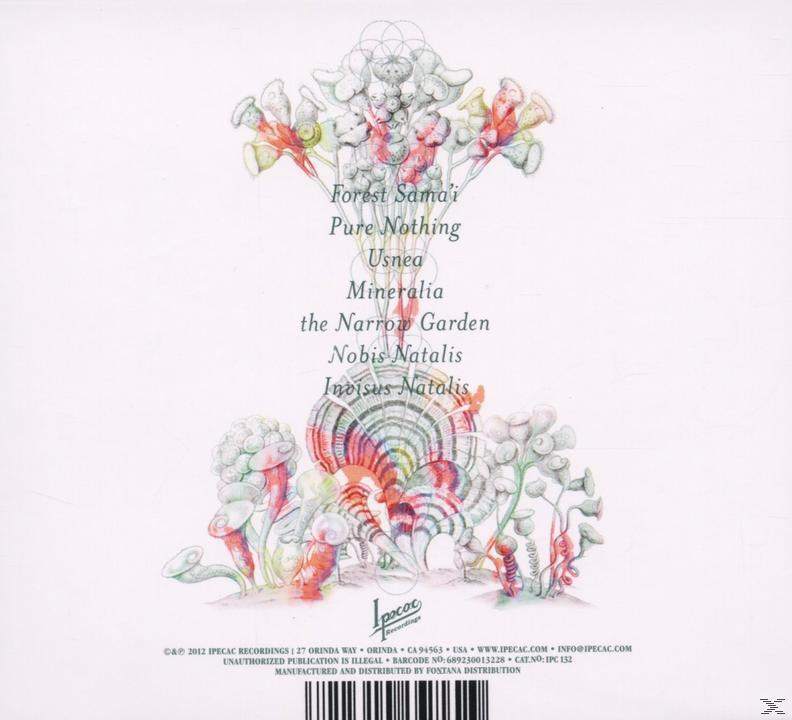 Eyvind Kang - The Narrow Garden  - (CD)