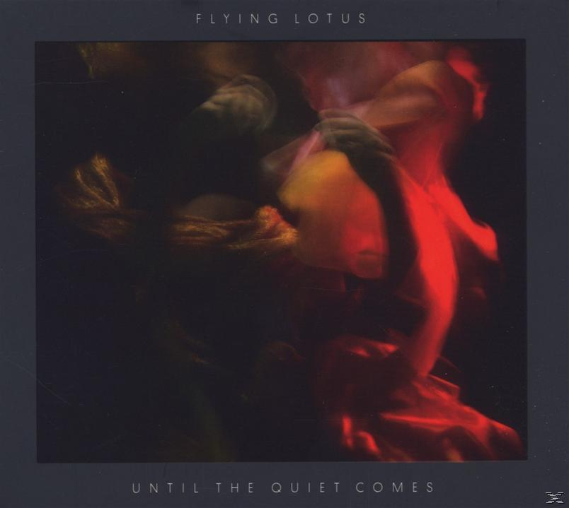 The - - Until Lotus Flying Comes Quiet (CD)