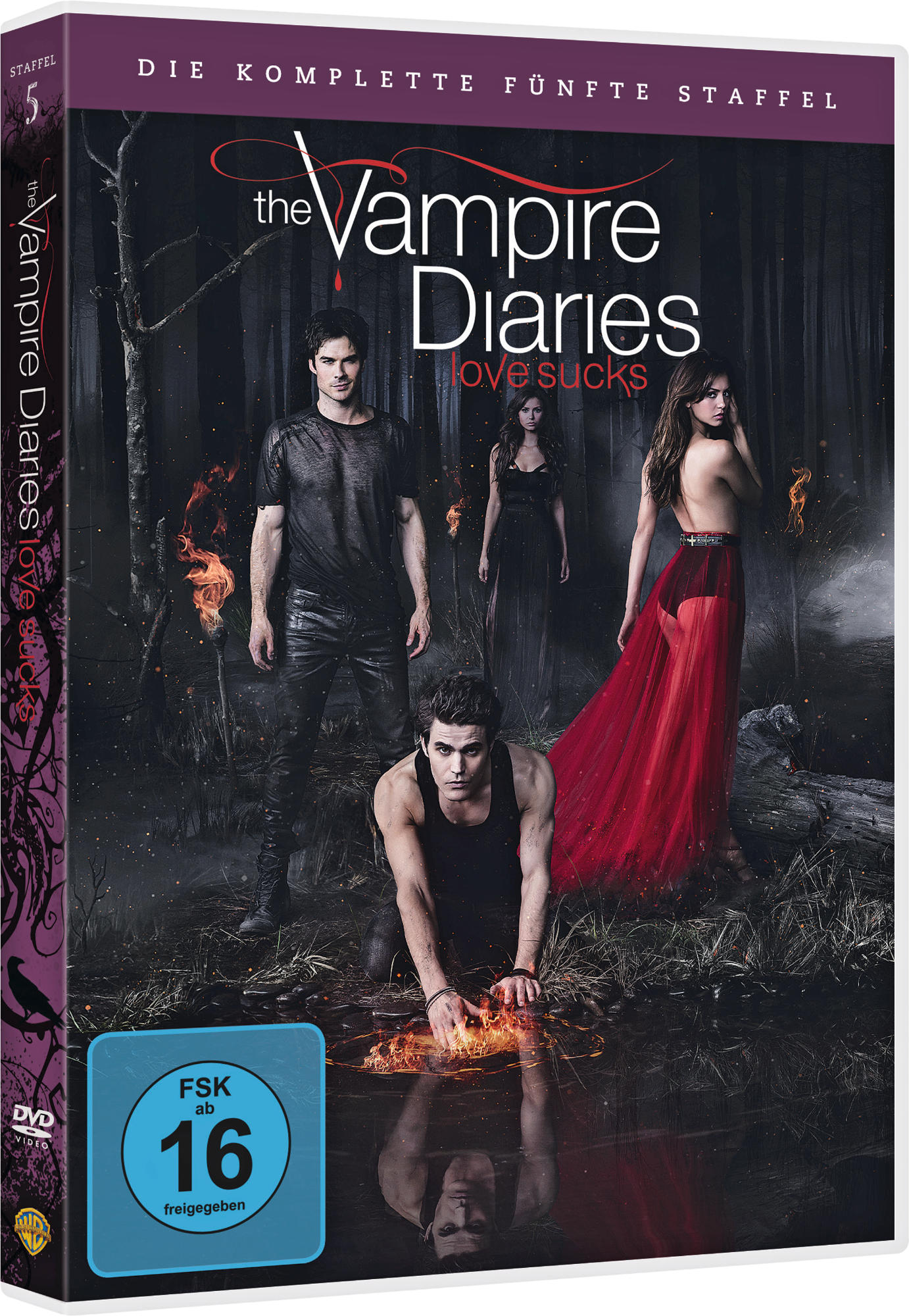 DVD-Cover von 'The Vampire Diaries'. Vier Personen in einem dunklen Wald. Eine Person kniet mit Feuer.