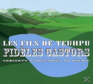 Les Fils Du Teupu - Fidèles Castors  - (CD)
