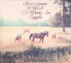 Bill Callahan - Sometimes I Wish We Were An Eagle  - (CD)
