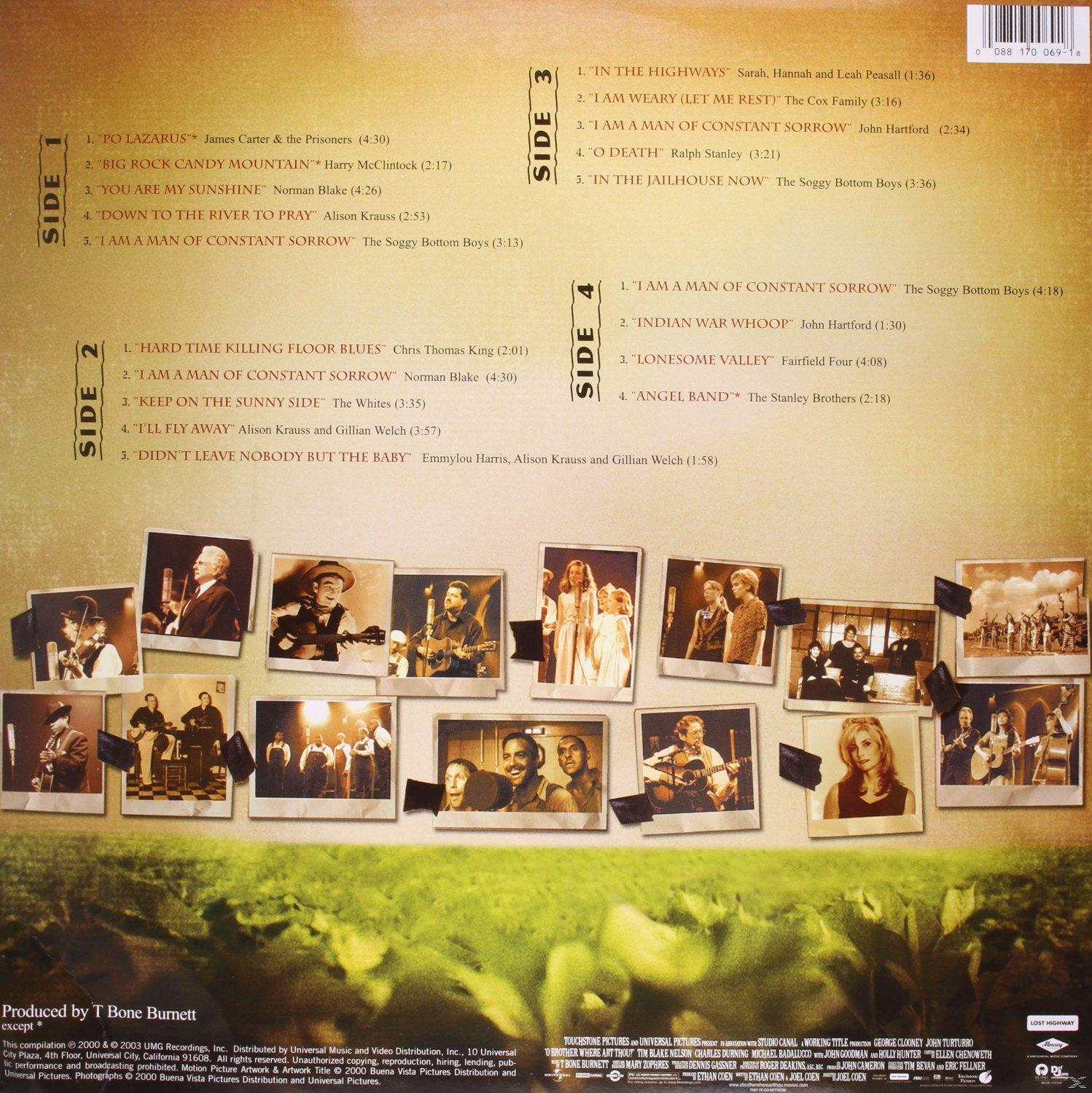Rückseite der CD: Fotos, Trackliste, Credits und ein grünes Feld mit einem Baum.