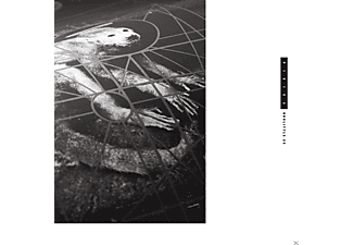 Pixies - Doolittle 25  - (CD)