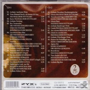CD-Info. Album-Rückseite mit Titelliste und Künstlerinformationen. Brauner und weißer Hintergrund.