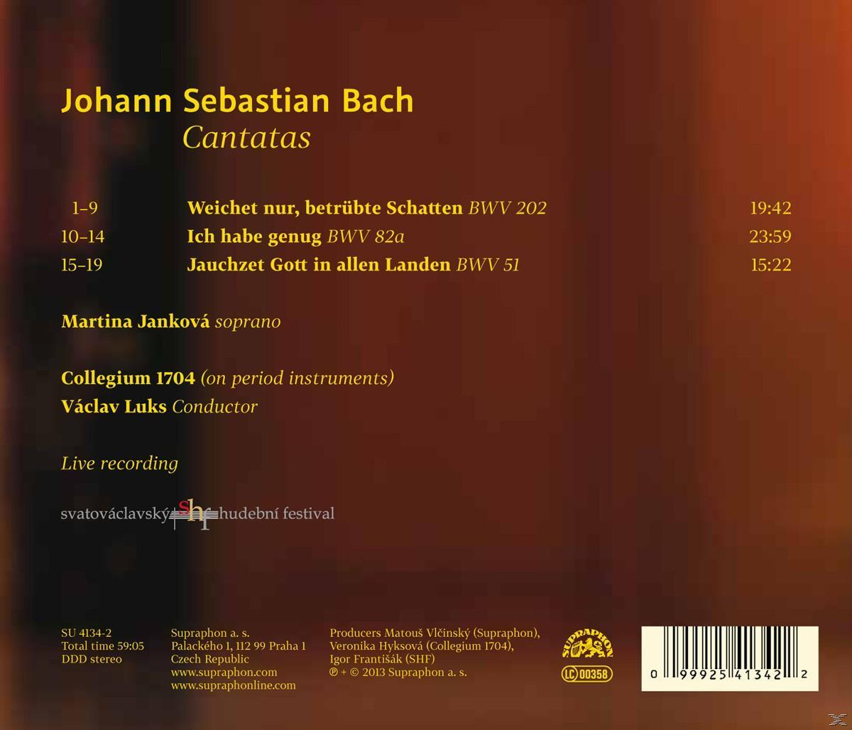 Collegium 1704, Jankova Martina - Cantatas  - (CD)