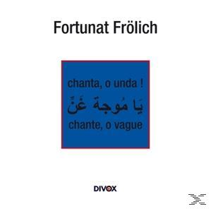 Zeroual/Gouddar/Chniquir/+ - Chanta,o unda!  - (CD)