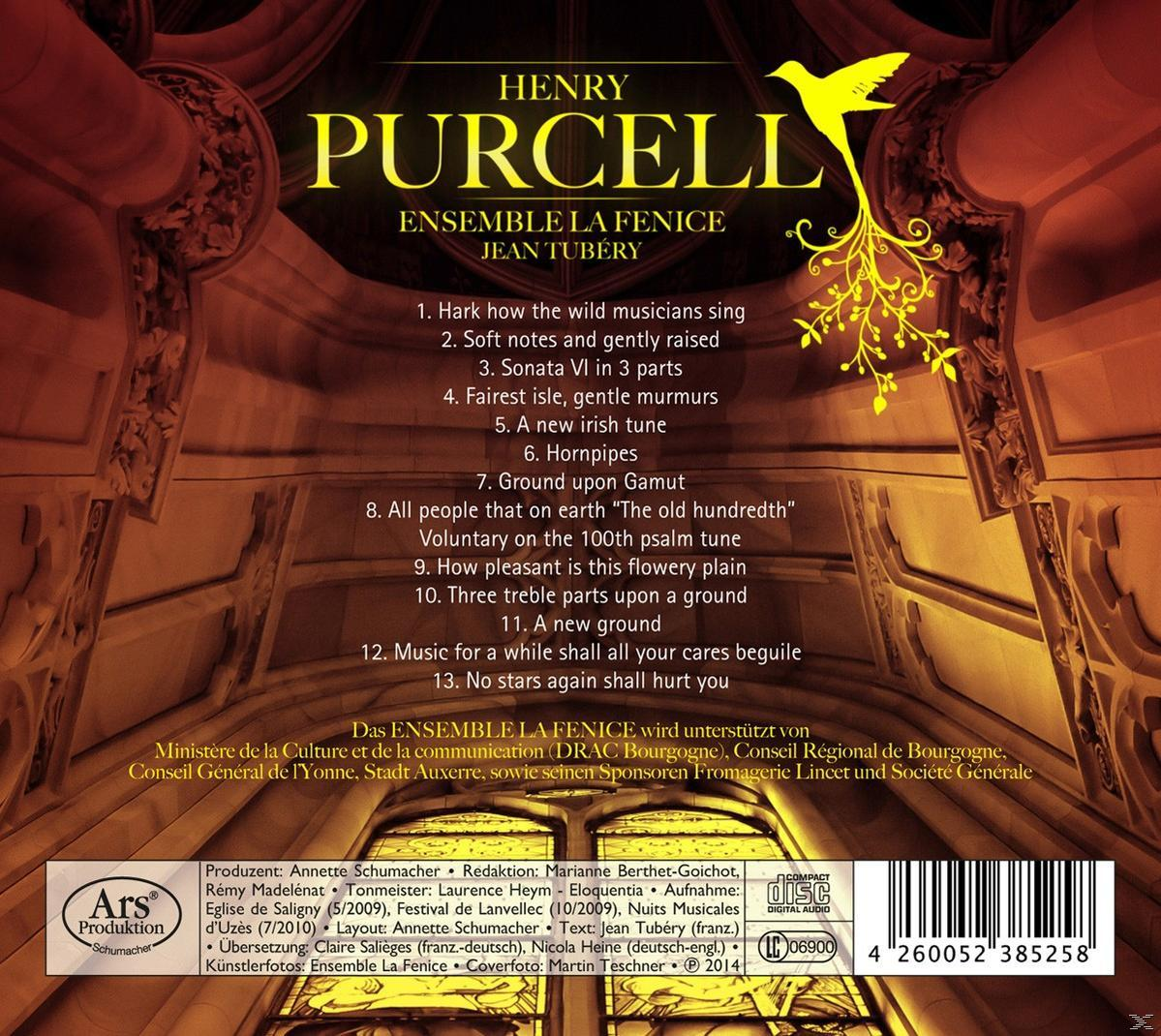 Ensemble La Fenice, Jean Tubery - Serenading Songs & Grounds  - (CD)