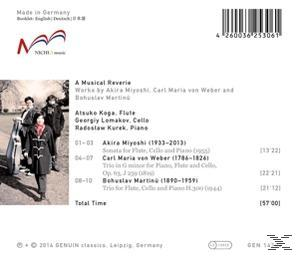 VARIOUS - A Musical Reverie  - (CD)