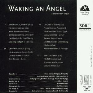 VARIOUS - Waking An Angel  - (CD)
