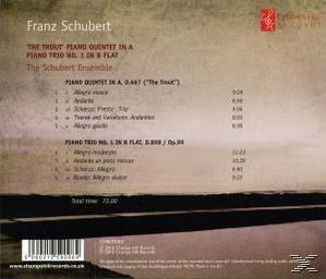 Schubert Ensemble - Forellenquintett D 667/Klaviertrio 1  - (CD)