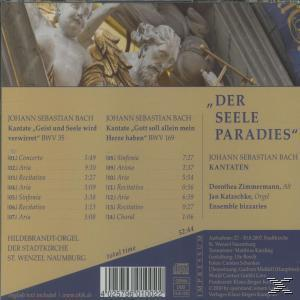 Zimmermann/Katzschke/Ensemble Bizzaries - Kantaten Bwv 35 Und 169  - (CD)