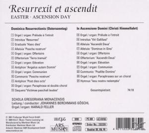 Schola Gregoriana Mancensis - Resurrexit Et Ascendit  - (CD)