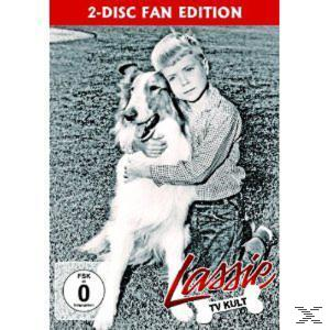 Lassie 2 DVD