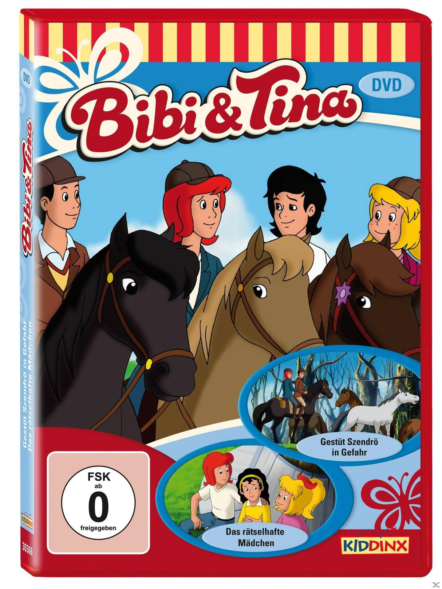 DVD-Cover mit Zeichentrickfiguren auf Pferden, mit einer Hintergrundszene von Reitern.