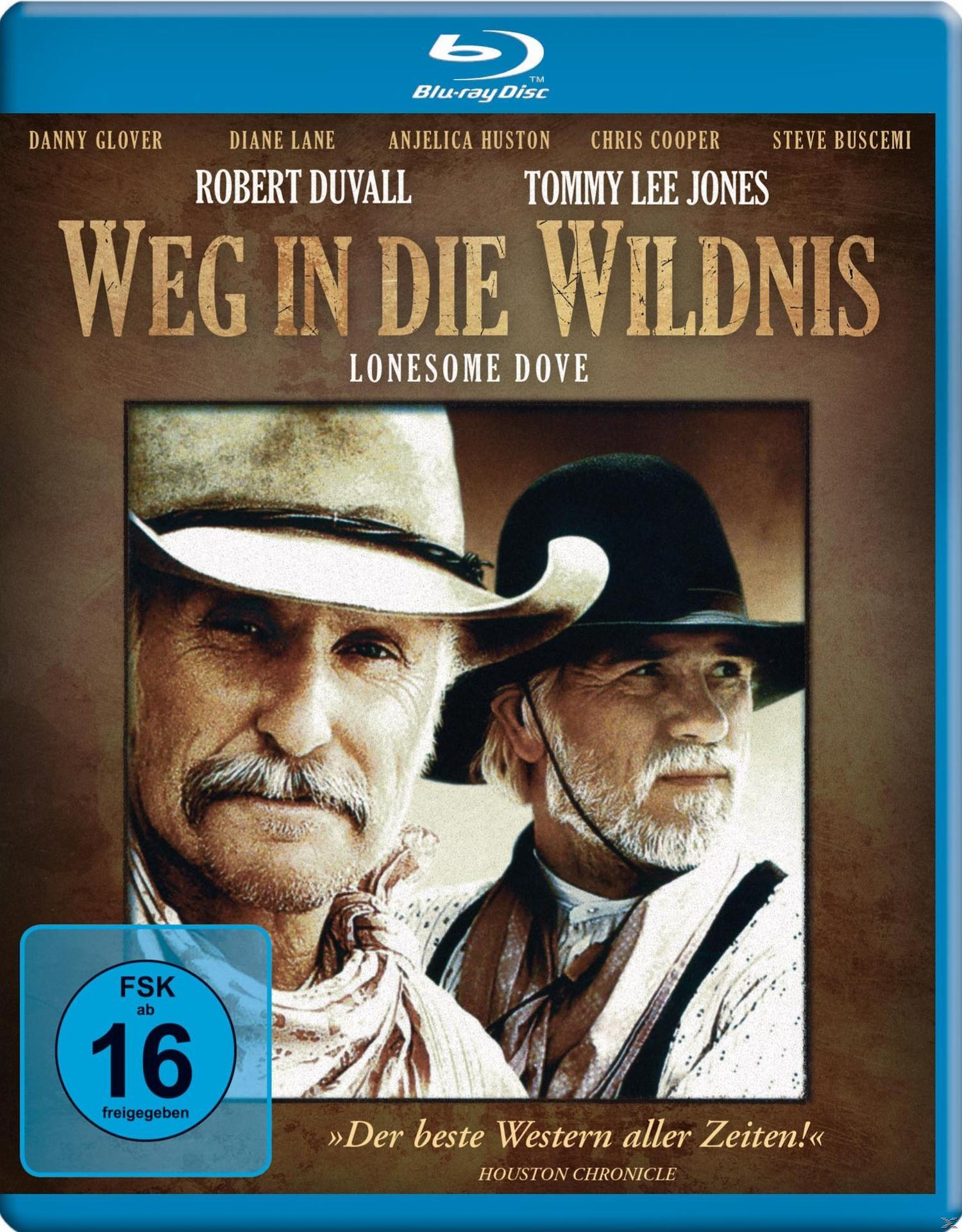 DVD-Cover mit zwei Männern in Cowboyhüten, mit dem Titel 'Weg in die Wildnis'.