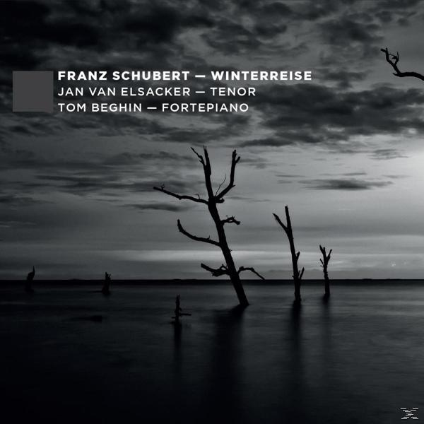 VARIOUS - Winterreise  - (CD)