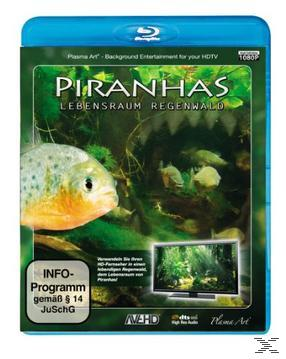 Blu-ray REGENWALD PIRANHAS-LEBENSRAUM