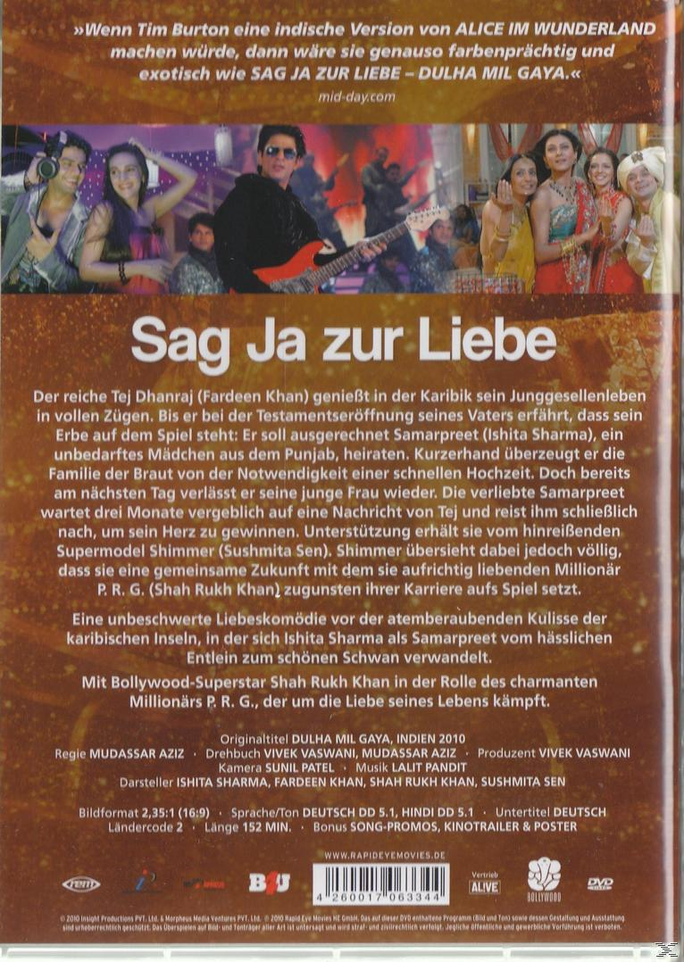 DVD-Cover des Films 'Sag Ja zur Liebe'. Zeigt einen Mann, der Gitarre spielt, und eine Gruppe von Menschen.