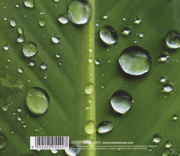 Grünes Blatt mit Wassertropfen. Der Hintergrund ist unscharf.
