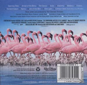 CD-Cover mit Flamingos. Es zeigt eine Gruppe rosa Flamingos vor blauem Himmel.