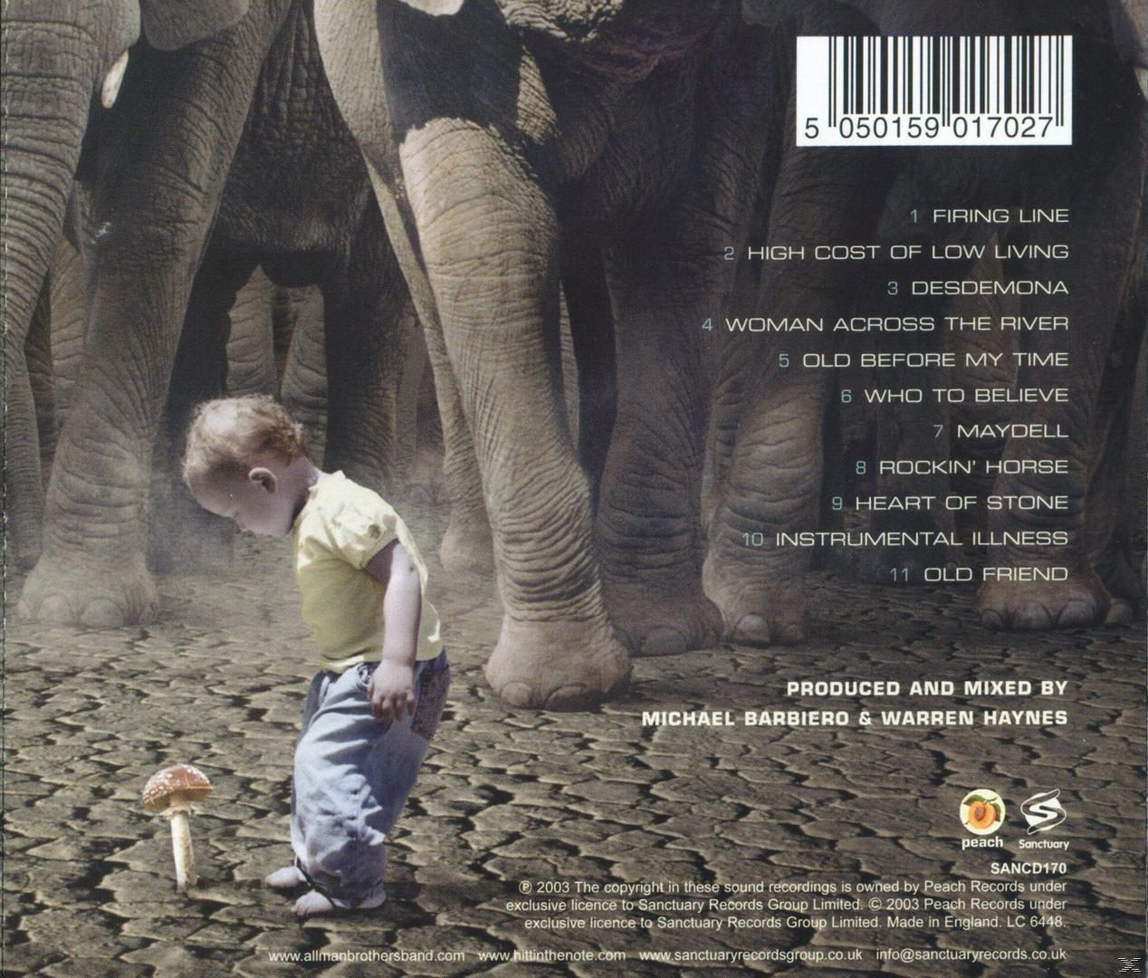 The Allman Brothers Band - Hittin The Note  - (CD)