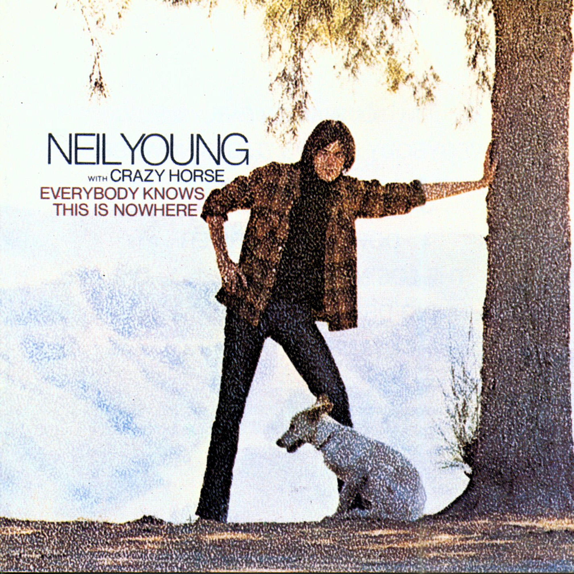 Knows Everybody Is Neil Nowhere This - (Vinyl) - Young