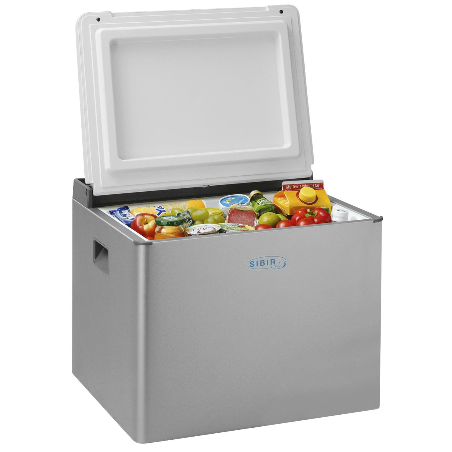 DOMETIC RC 1200 EGP Kühlbox (41 l, 12V Anschluss, Silber/Grau)