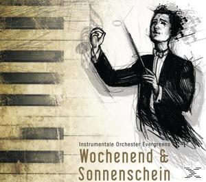 VARIOUS - Wochenend Und Sonnenschein  - (CD)
