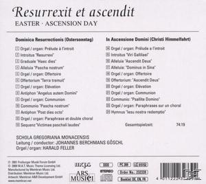 Schola Gregoriana Mancensis - Resurrexit Et Ascendit  - (CD)