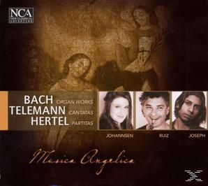 VARIOUS - Musica Angelica  - (CD)