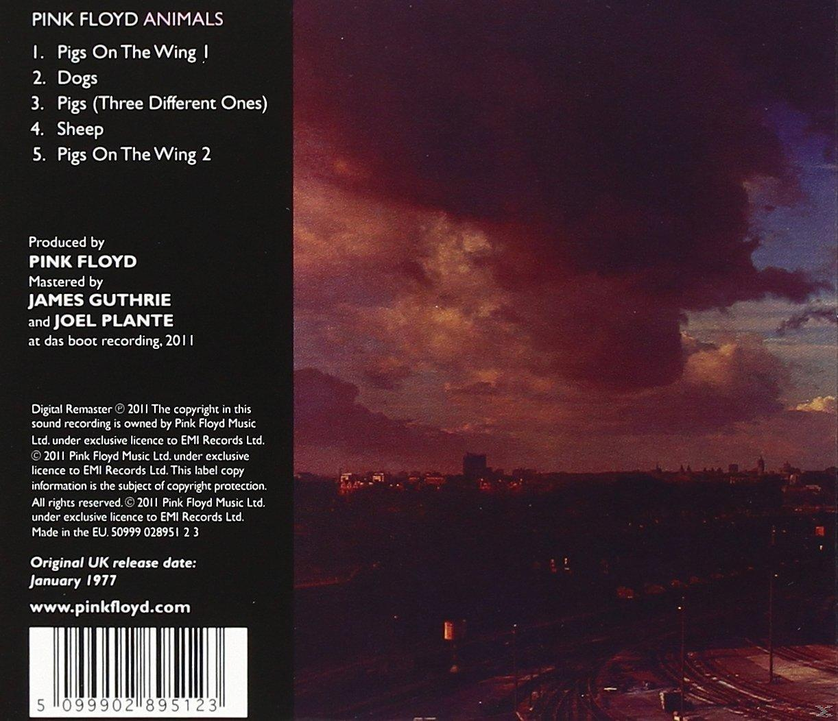 Pink Floyd Albumcover mit dunkler Stadtlandschaft und bewölktem Himmel. Der Albumtitel steht oben links.
