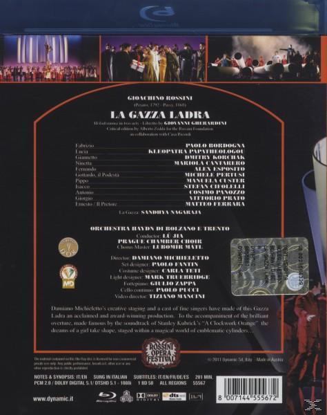 Bordogna, Ladra - VARIOUS, Papatheologou, La - Jia Cantarero, Gazza Korchak, (Blu-ray)