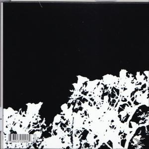 Songs:ohia - Didn't It Rain (Deluxe Reissue)  - (CD)