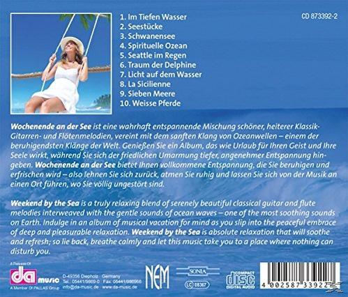 Frau auf einer Schaukel, weißes Kleid, Strandkulisse. Blauer Hintergrund, Albumcover mit Titelliste.