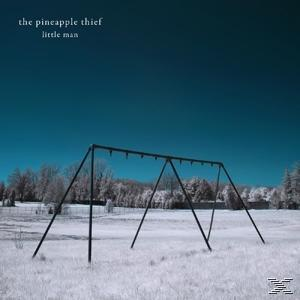 Albumcover: eine Schaukel auf einem Feld. Blauer Himmel, weiße Bäume.