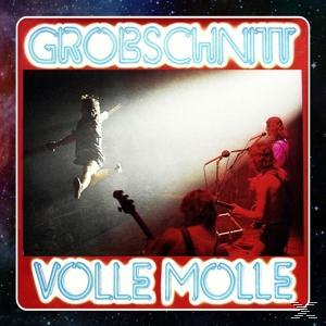 Albumcover. Eine Person springt im Rampenlicht. Bandmitglieder sind im Hintergrund sichtbar. Der Titel ist rot mit blauem Rand.