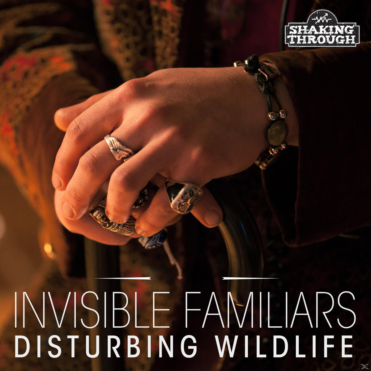 Invisible Familiars - Disturbing (CD) - Wildlife