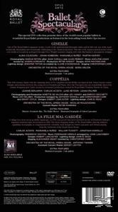Orchestra Of The Royal Opera House - Ballet Spectacular  - (DVD)