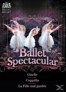 Orchestra Of The Royal Opera House - Ballet Spectacular  - (DVD)