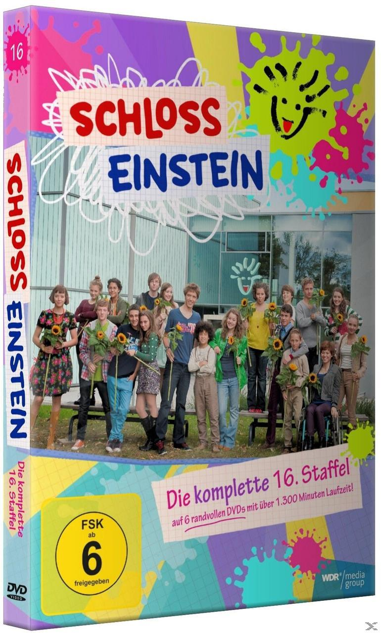 DVD-Cover von Schloss Einstein. Gruppe von Teenagern mit Sonnenblumen vor einem Gebäude. Buntes Design.