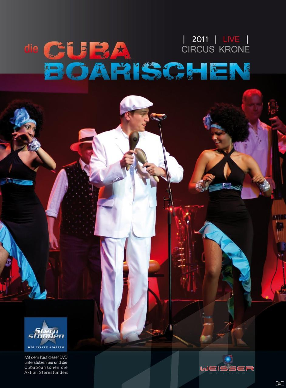 Die Cubaboarischen - 2011 Circus - (DVD) Krone