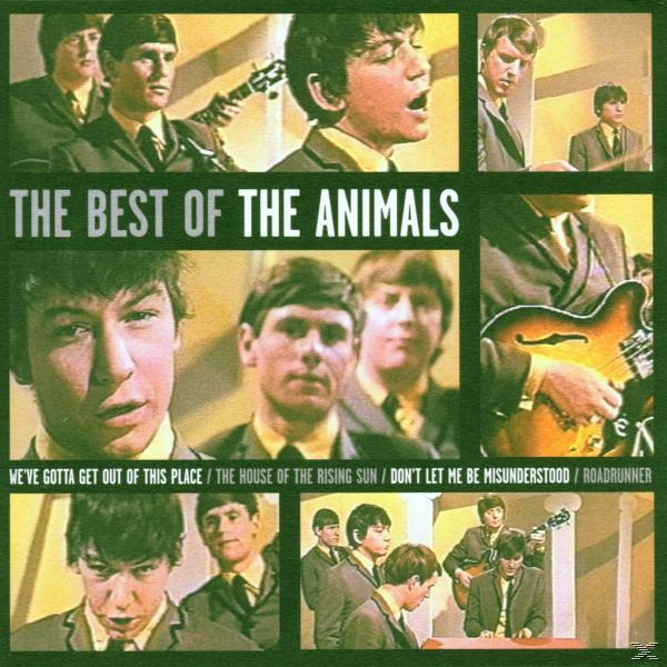 Albumcover, Bandmitglieder in verschiedenen Bildern.