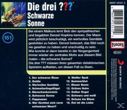 CD-Cover mit Text, einem Buch und einer dunklen, dramatischen Kulisse. Der Titel lautet Die drei ??? Schwarze Sonne.