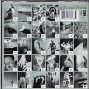 Paul McCartney - Driving Rain  - (CD)