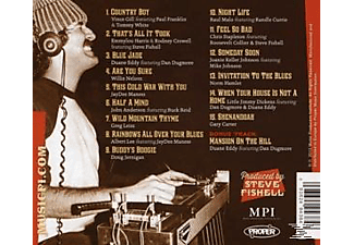 VARIOUS, Buddy Emmons - The Big E-A Salute To Steel Guitarist  - (CD)