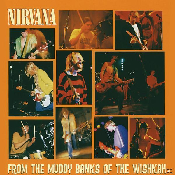 Nirvana-Albumcover: Bandmitglieder auf der Bühne, orangefarbener Hintergrund.