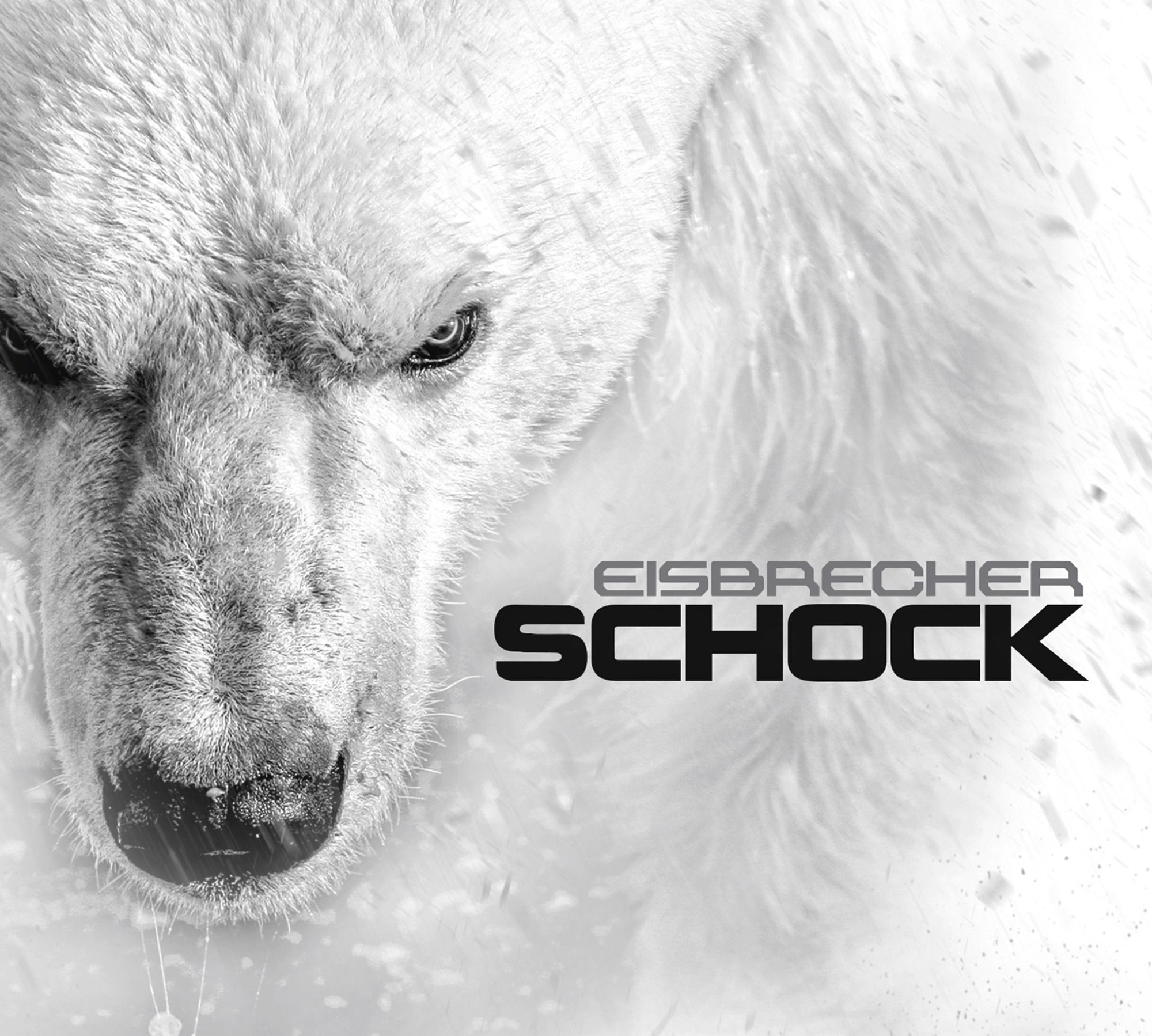 Das Gesicht eines Eisbären, intensiver Blick. Text: Eisbrecher, Schock.